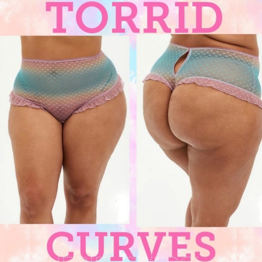 TORRID Pink Ombre Ruffle Mesh Trim High Waist Panty! NWT!